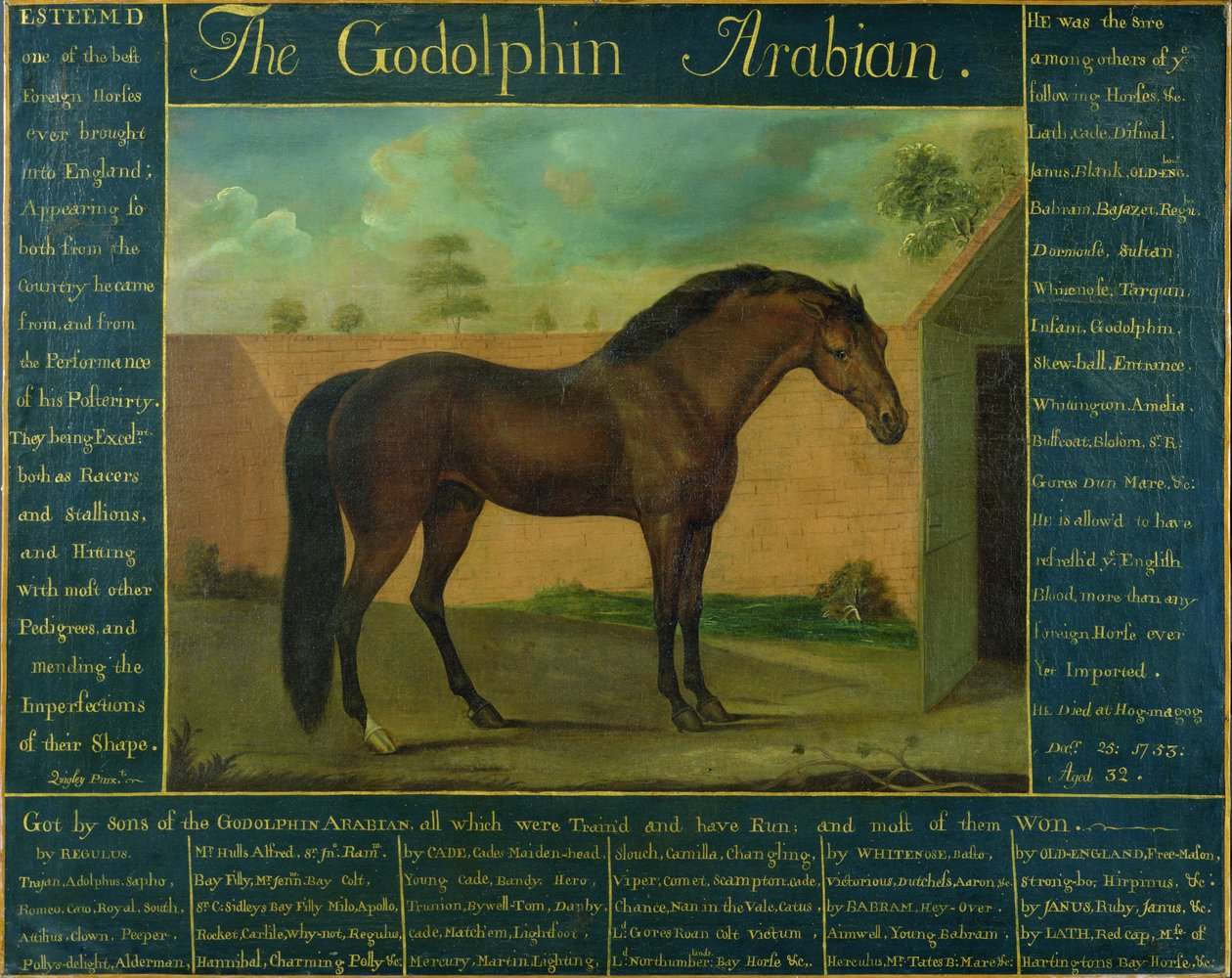 Godolphin阿拉伯人 作者 奎格利