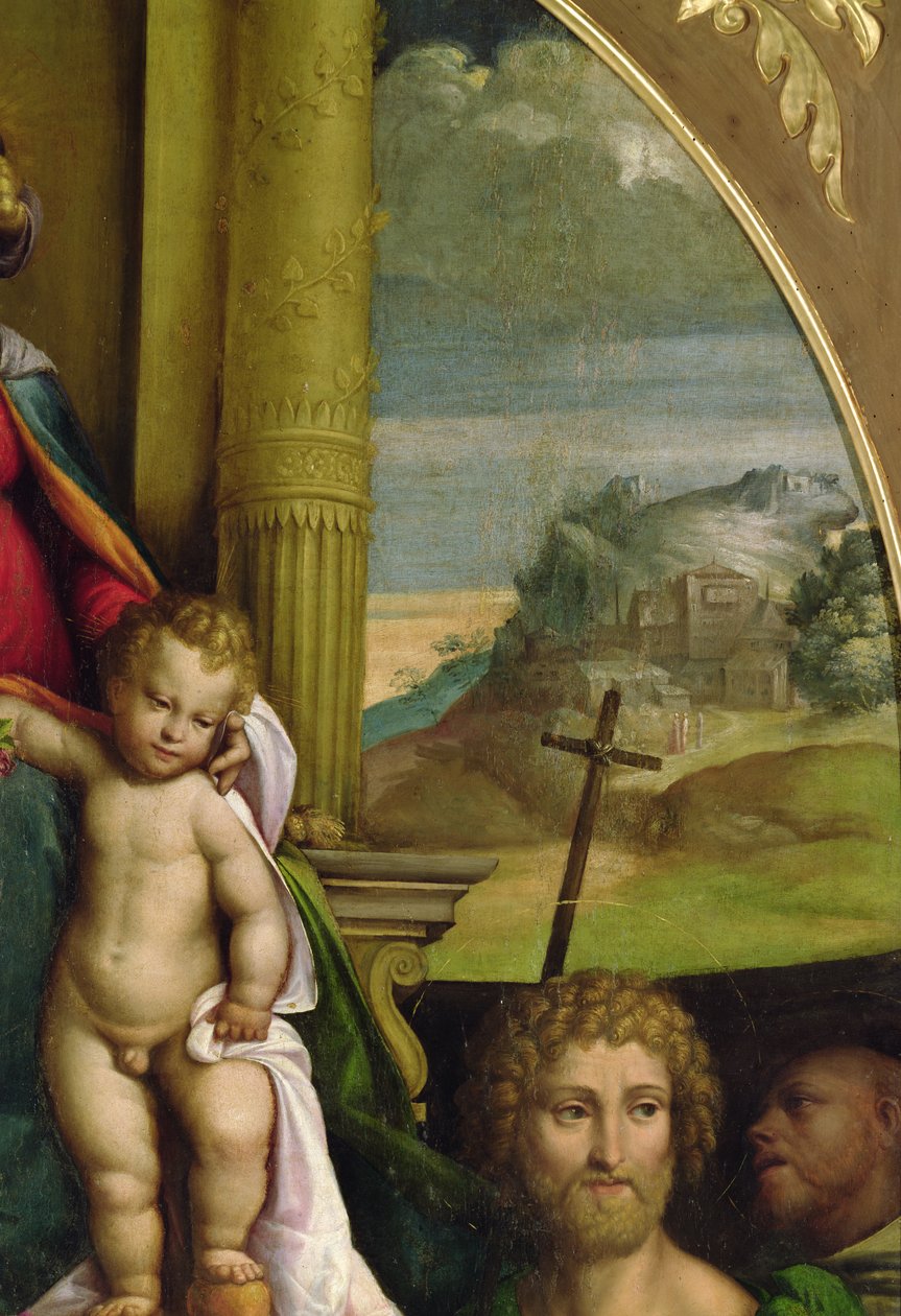 The Virgin Enthroned，基督孩子（油）的细节（见33422） 作者 D.和Garofalo Dossi