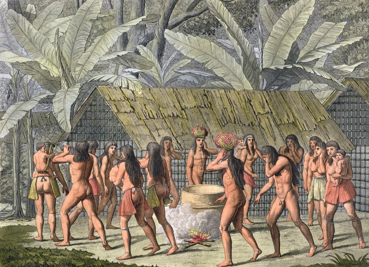 巴西Camacani印第安人的舞蹈节，来自&39;Le Costume Ancien et Moderne&39;，第一卷，第46页，由Jules Ferrario出版，出版于1820年代至30年代（彩色版画）（另见177057） 作者 DK博纳蒂