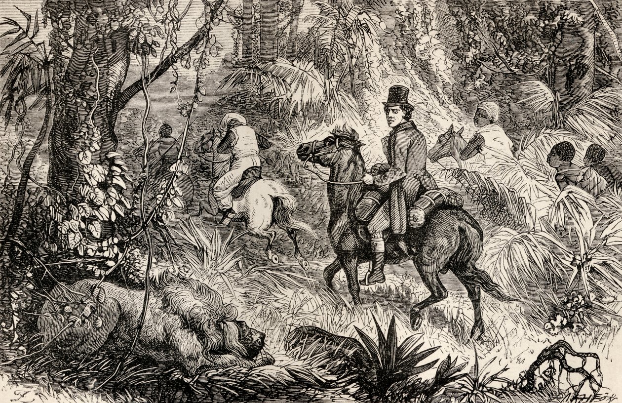 蒙哥公园在1825年前往莫迪布村的途中遇到一只狮子 作者 达齐尔兄弟
