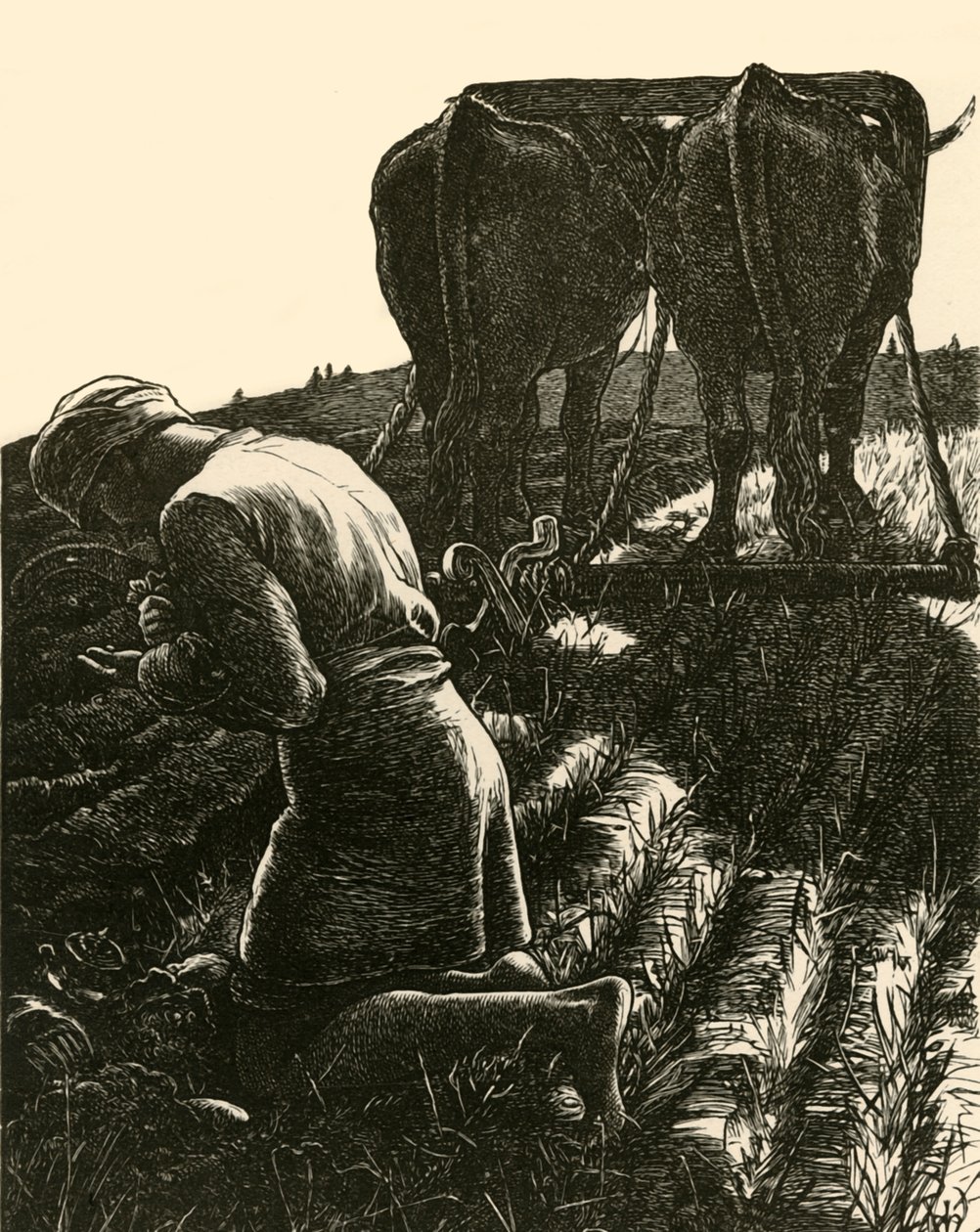 隐藏的宝藏，1864年，1928年。 作者 达齐尔兄弟