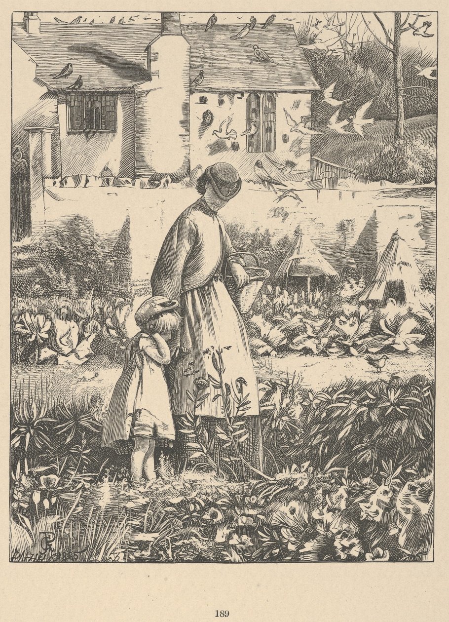 岛蜂》选自《路边的花》：乡村生活的原创诗篇，1867年。 作者 达齐尔兄弟