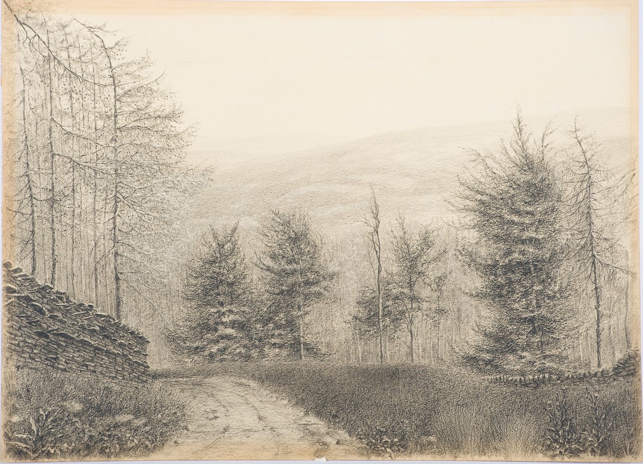 Egglestone Bridge，Teesdale，c.1916（卡上的黑色蜡笔） 作者 丹尼尔·奥利佛（Daniel Oliver）