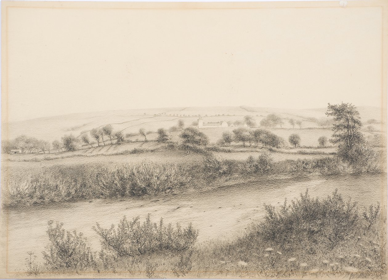 Willimoteswick，c.1916（卡上的木炭和铅笔） 作者 丹尼尔·奥利佛（Daniel Oliver）
