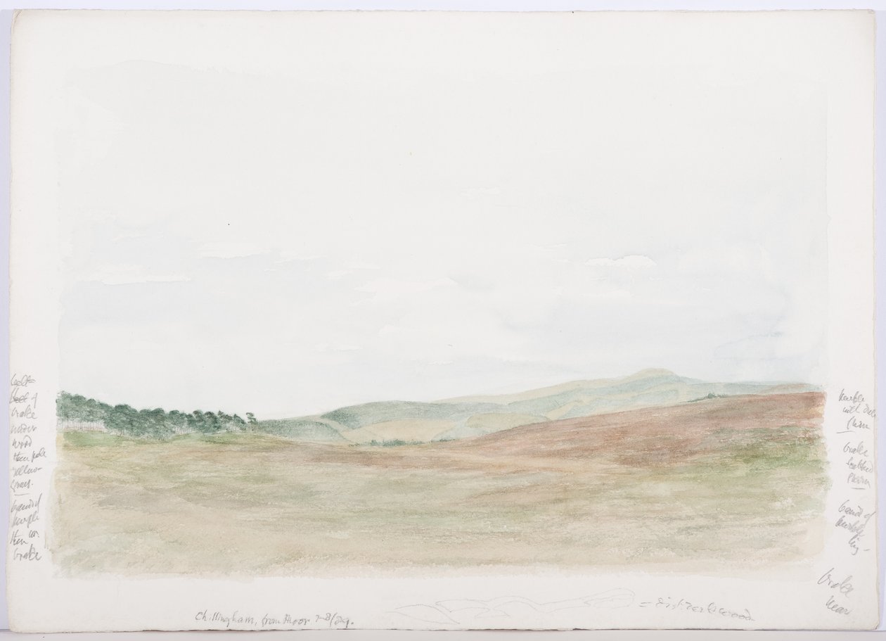 c.1916（铅笔和纸上的wc） 作者 丹尼尔·奥利佛（Daniel Oliver）