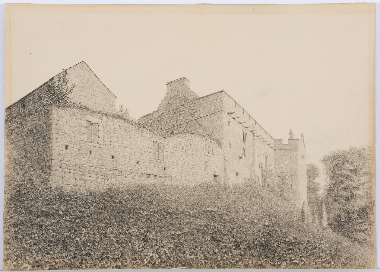 c.1916（铅笔和纸上的wc） 作者 丹尼尔·奥利佛（Daniel Oliver）