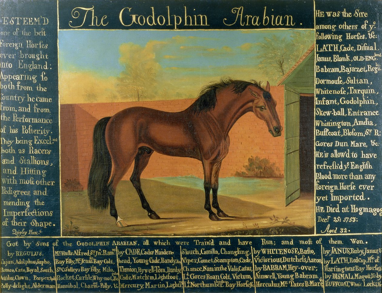 Godolphin阿拉伯人 作者 丹尼尔·奎格利