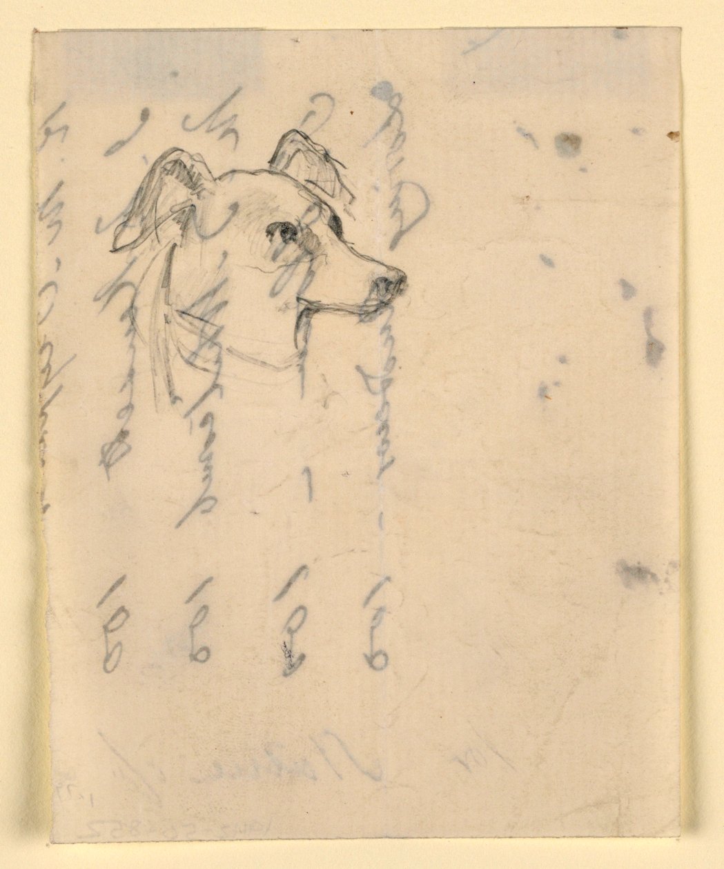 素描，狗头，可能是米洛（一种指针犬），约创作于 1862 年 作者 丹尼尔·亨廷顿