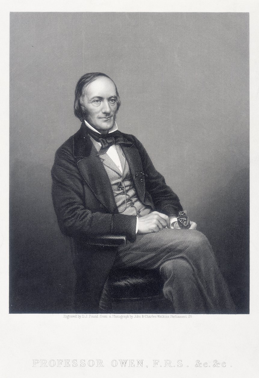 英国动物学家Richard Owen爵士，c1860年。 作者 丹尼尔·约翰·庞德