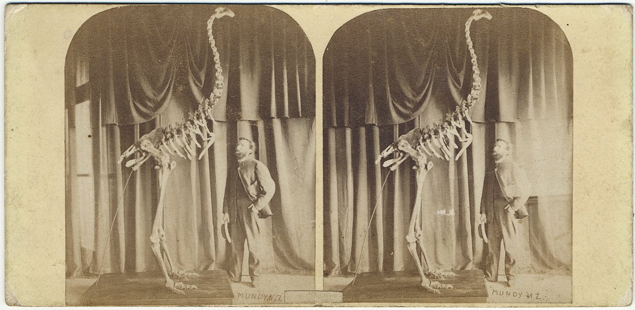 哈利斯和哈阿的朱利叶斯，坎特伯雷博物馆，c.1867（蛋白印刷品） 作者 