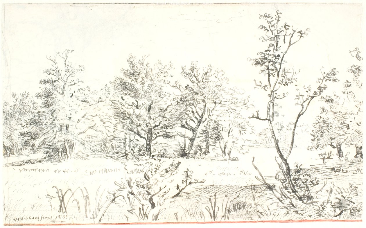 森林和草地景观 作者 Dankvart Dreyer