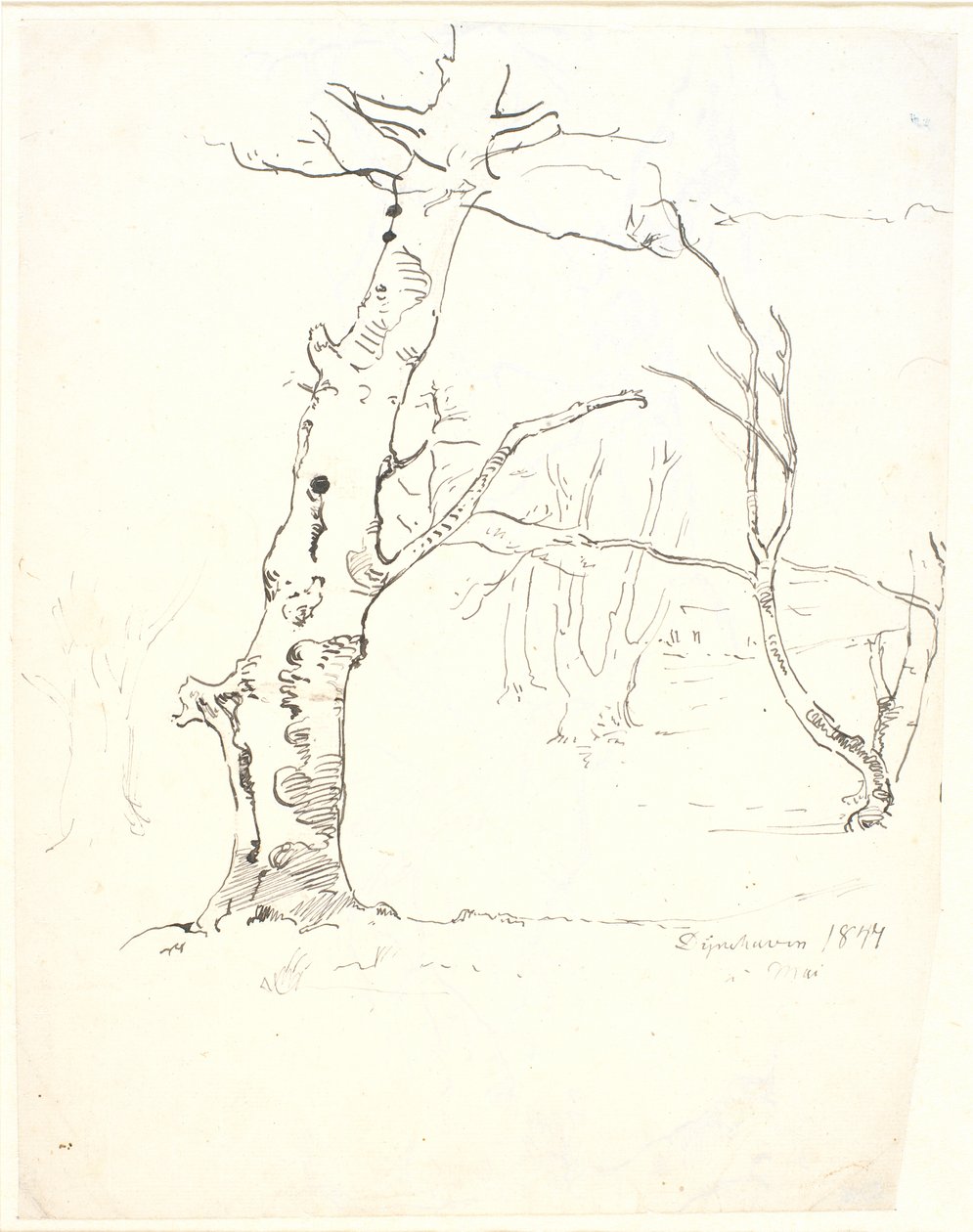 日志 作者 Dankvart Dreyer
