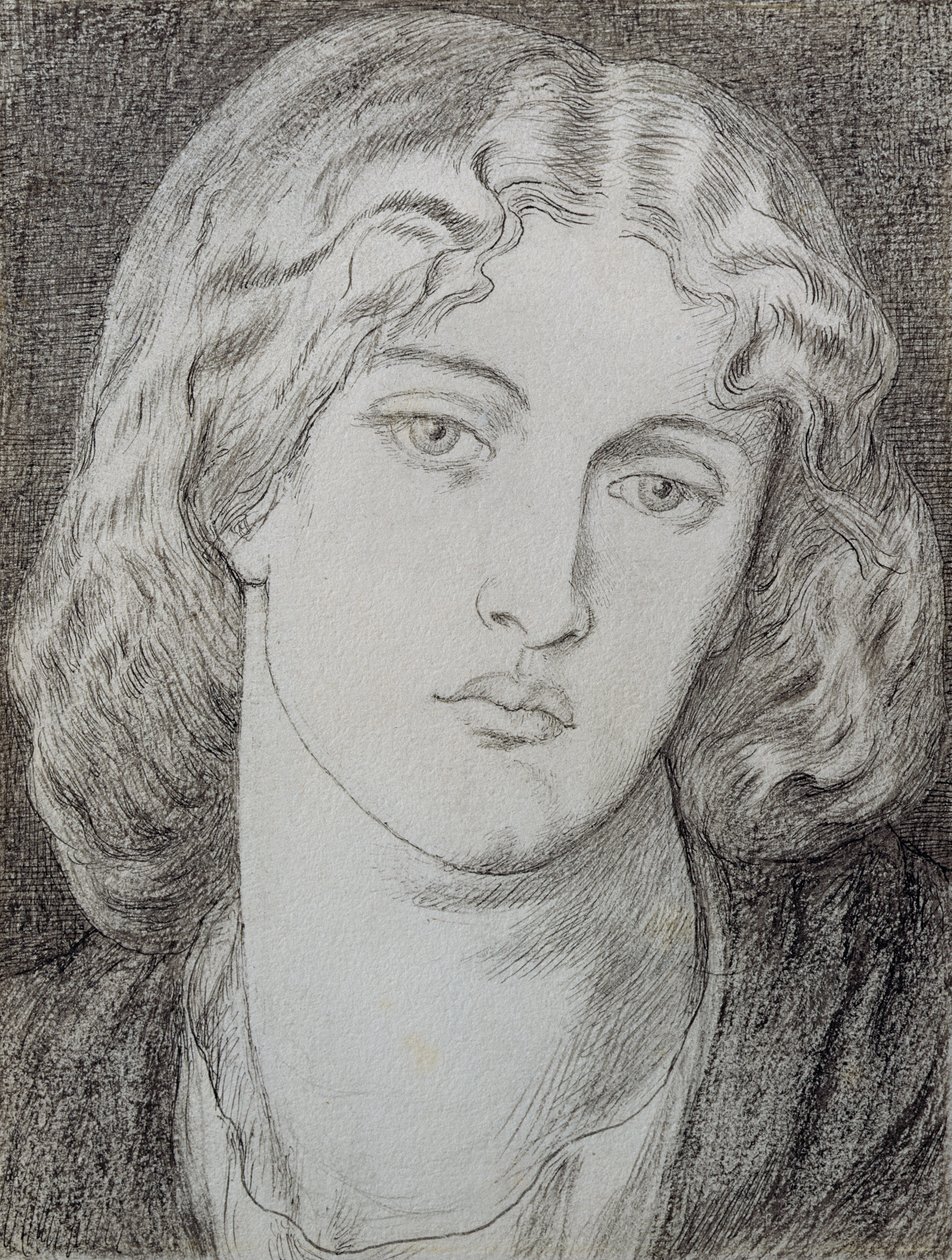 Fanny Cornforth（1824-1906）（笔和墨水和灰色洗在纸上） 作者 但丁·加布里埃尔·查尔斯·罗塞蒂