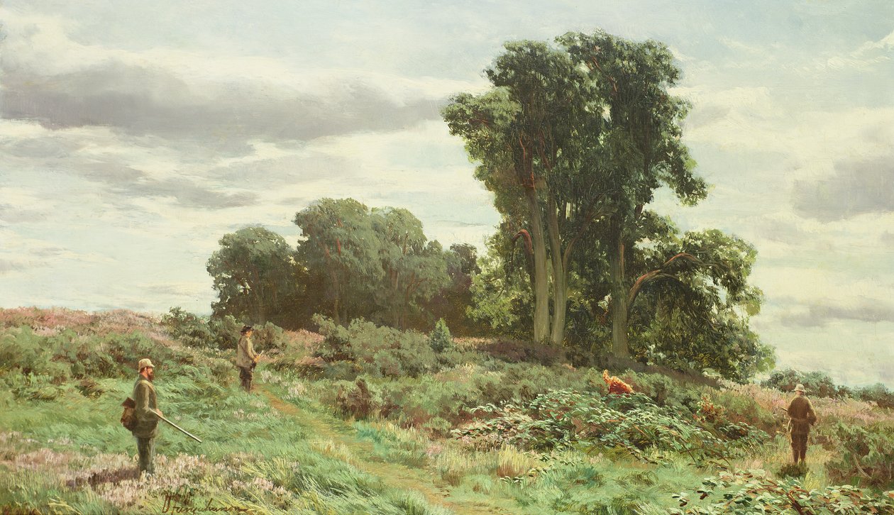 Perthshire的Meiklour森林 作者 大卫·法夸森（David Farquharson）