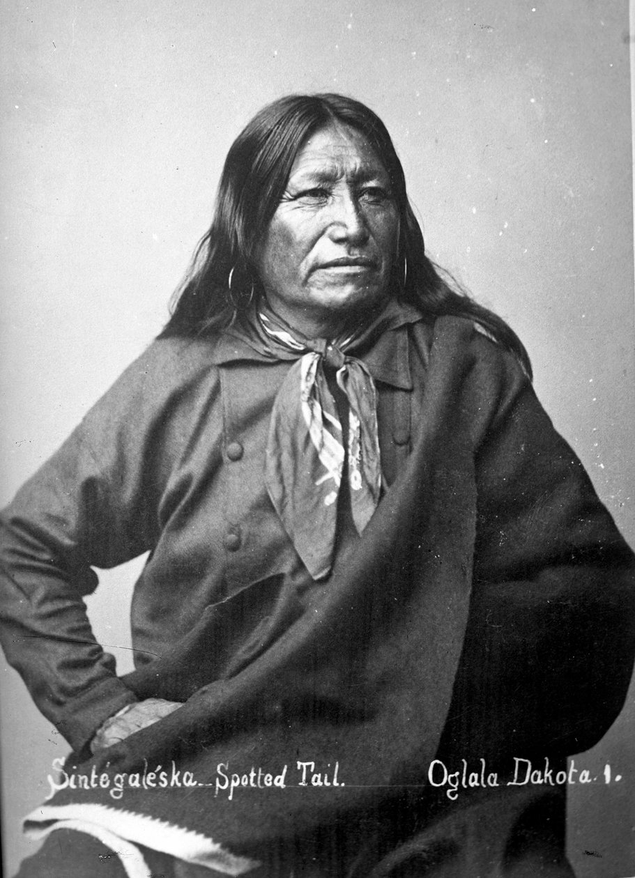 Sintegaleska，Spotted Tail，Oglala Dakota I，1880年代 作者 戴维·弗朗西斯·巴里