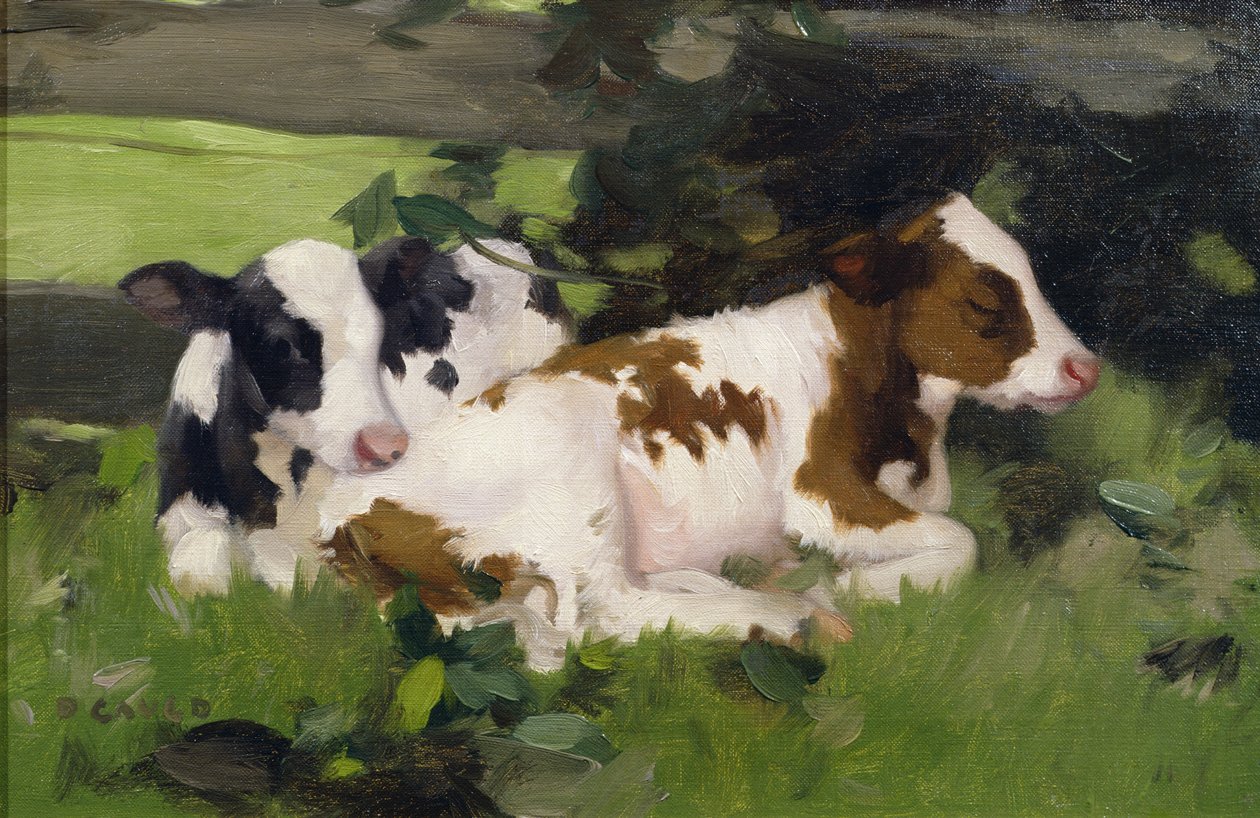 Ayrshire Calves，1890年 作者 大卫·高尔德