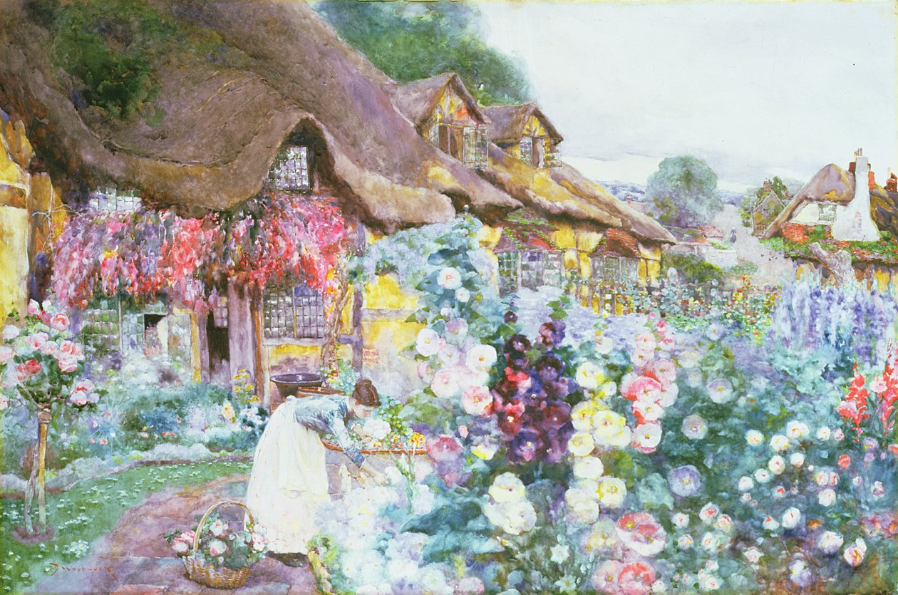 小屋花园 作者 大卫·伍德洛克