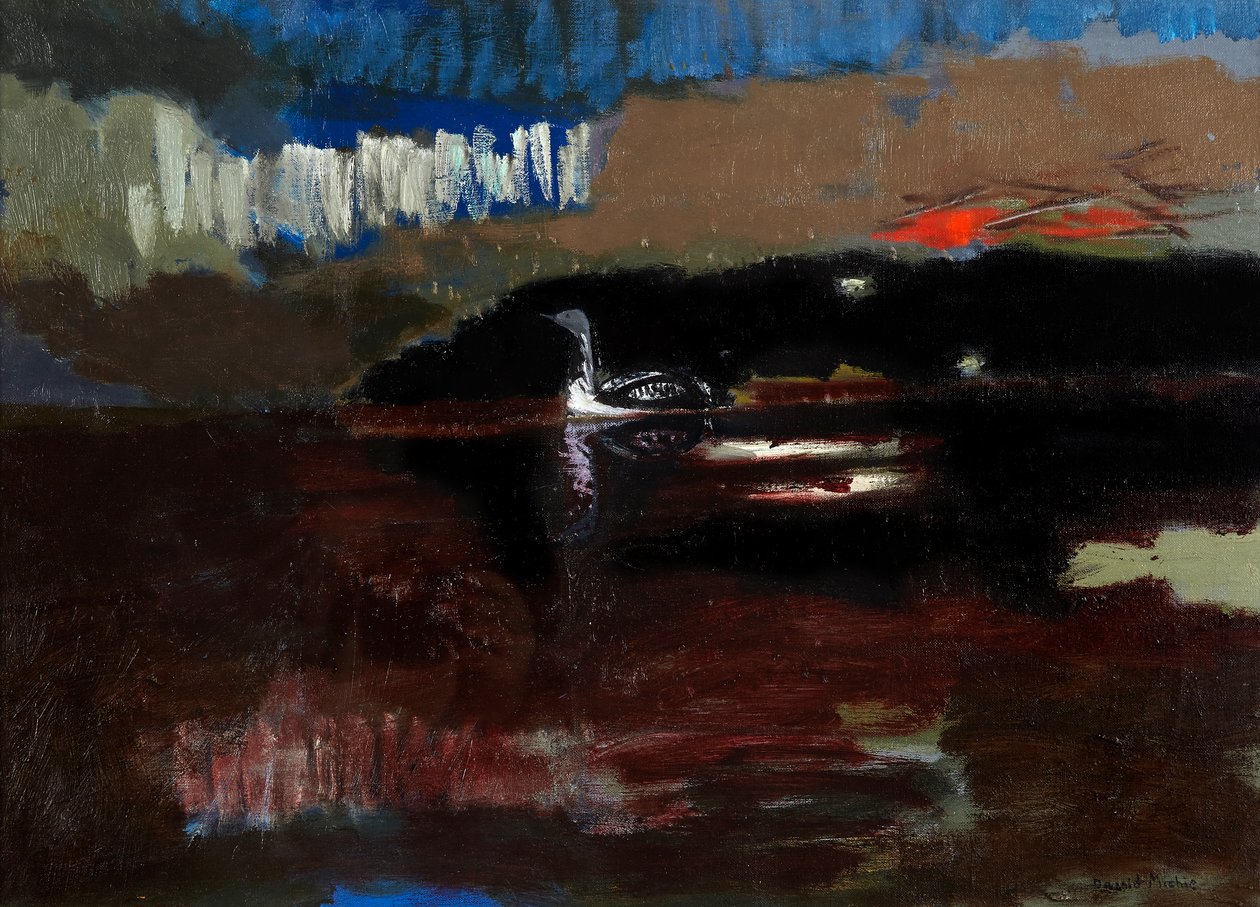 黑喉潜水员，c.1986（布面油画） 作者 大卫·艾伦·雷德帕特·米奇