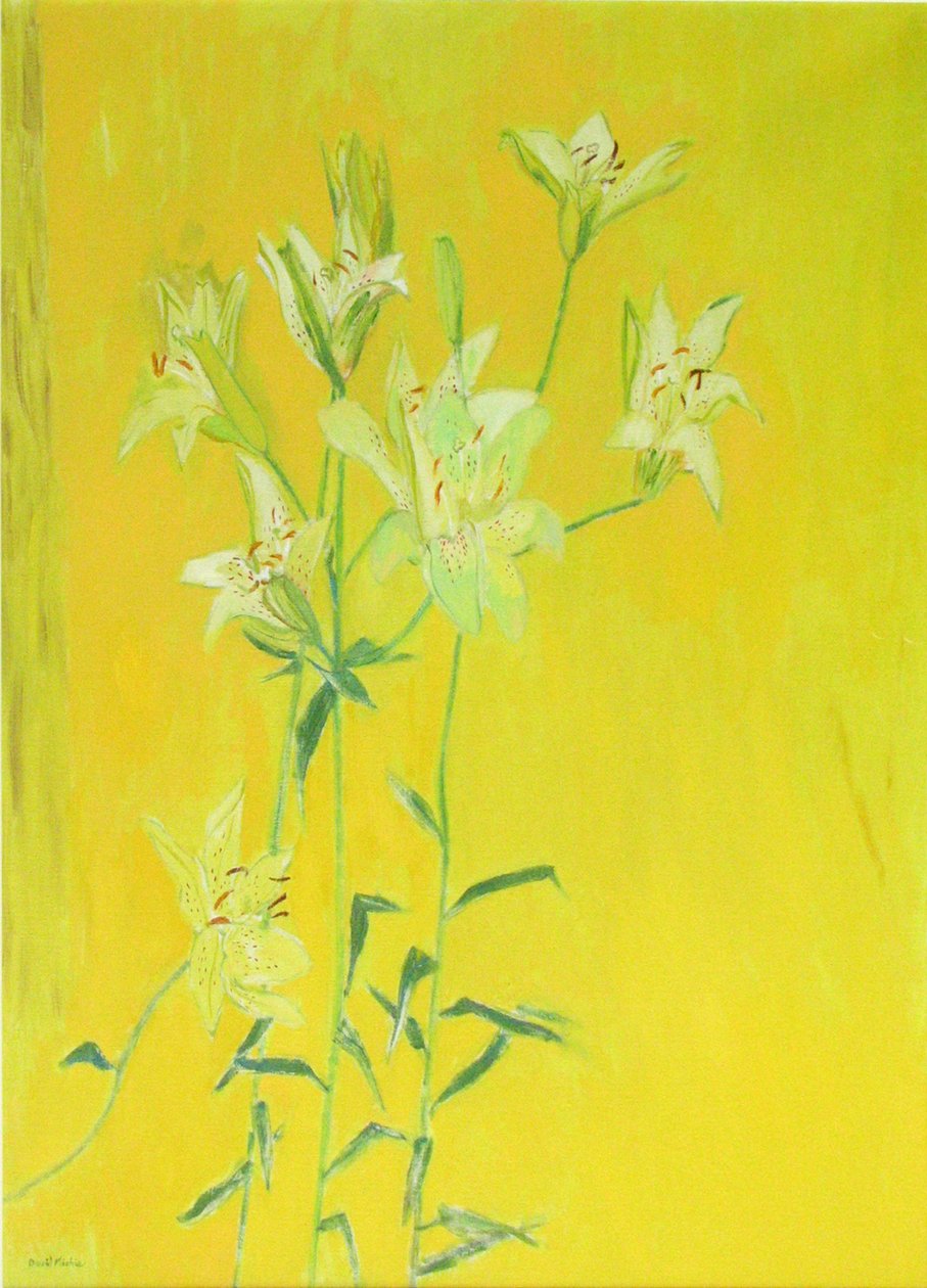 黄色的百合花（布面油画） 作者 大卫·艾伦·雷德帕特·米奇