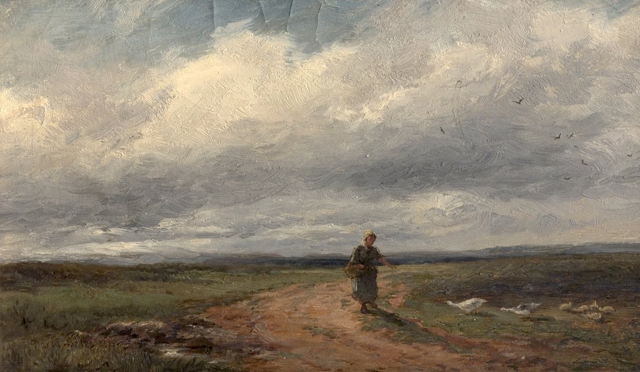 Broadheath Common，1875 作者 戴维·贝茨