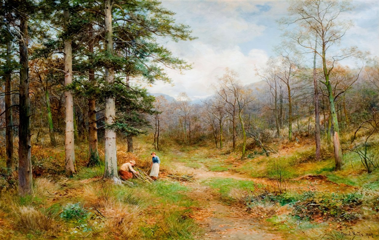 在Long Mynd, Church Stretton, 1907年。 作者 戴维·贝茨