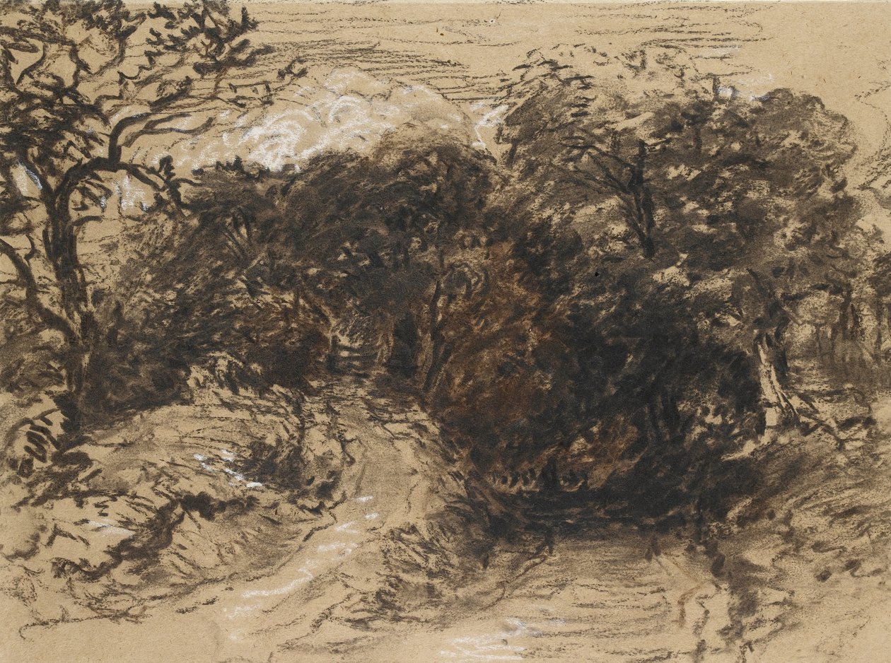 德比郡Harborne附近的空心巷道（黑色粉笔，白色和棕色水洗） 作者 大卫·考克斯