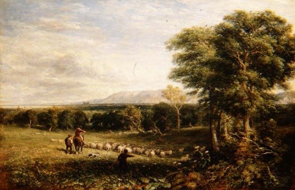 克莱德谷地（The Vale of Clwyd 作者 大卫·考克斯