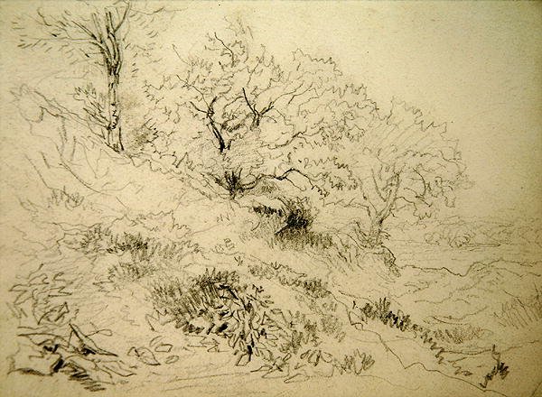 威尔士风景（纸上粉笔画） 作者 大卫·考克斯