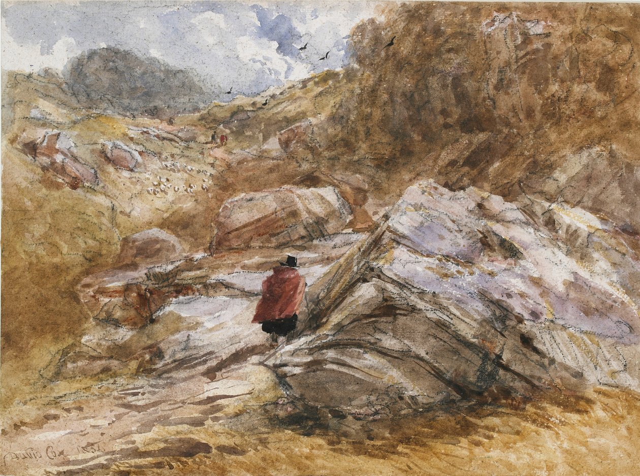 Bettws-y-Coed的山口，1851年 作者 大卫·考克斯（David Cox）