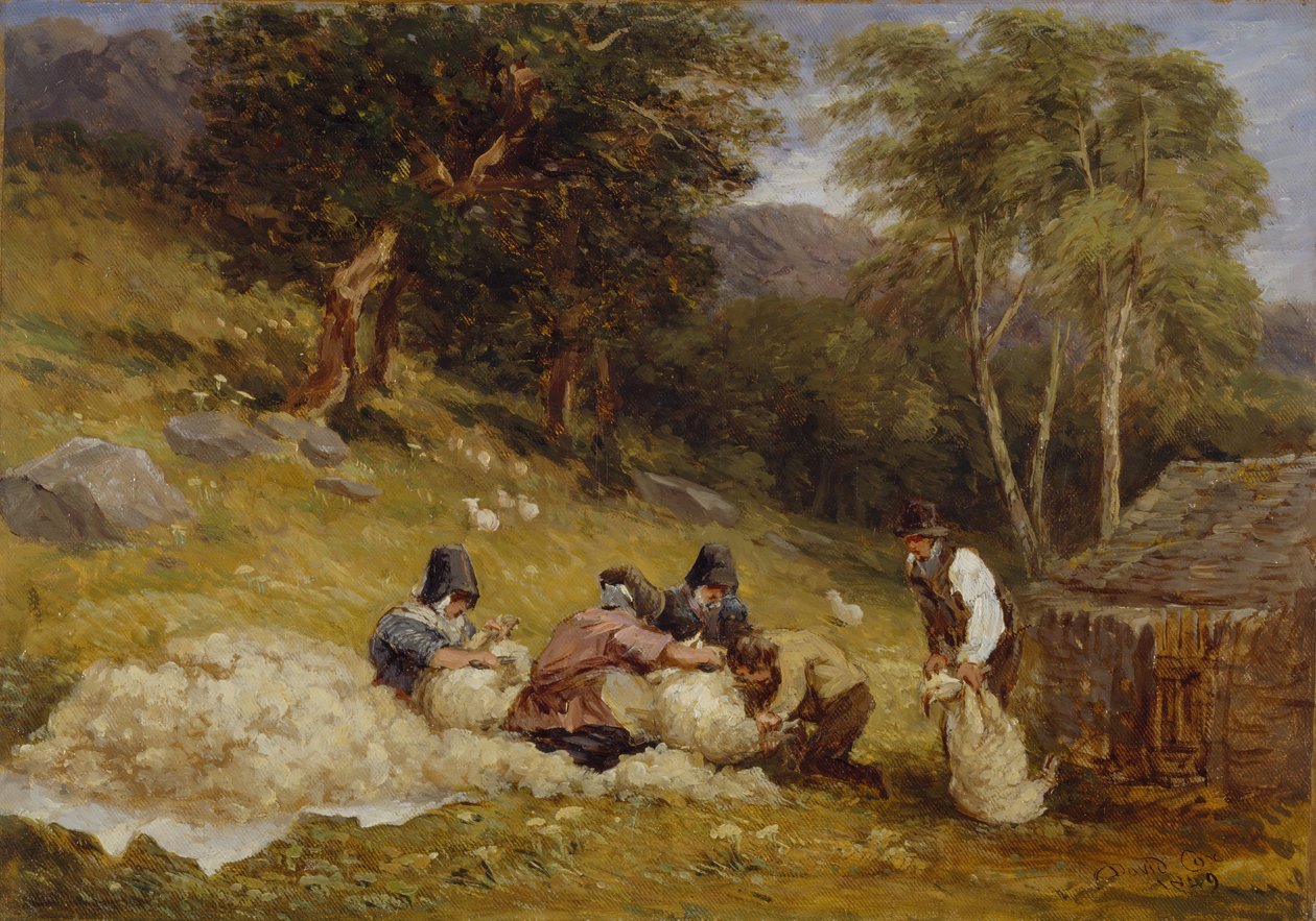 剪羊毛，1849年。 作者 大卫·考克斯（David Cox）