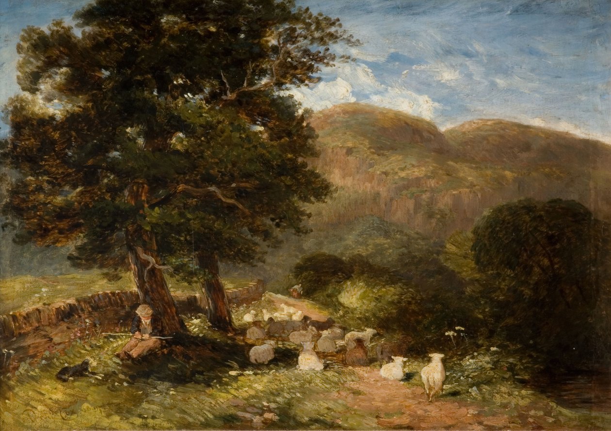 驯养羊群，Bettws-y-Coed，1849年。 作者 大卫·考克斯（David Cox）