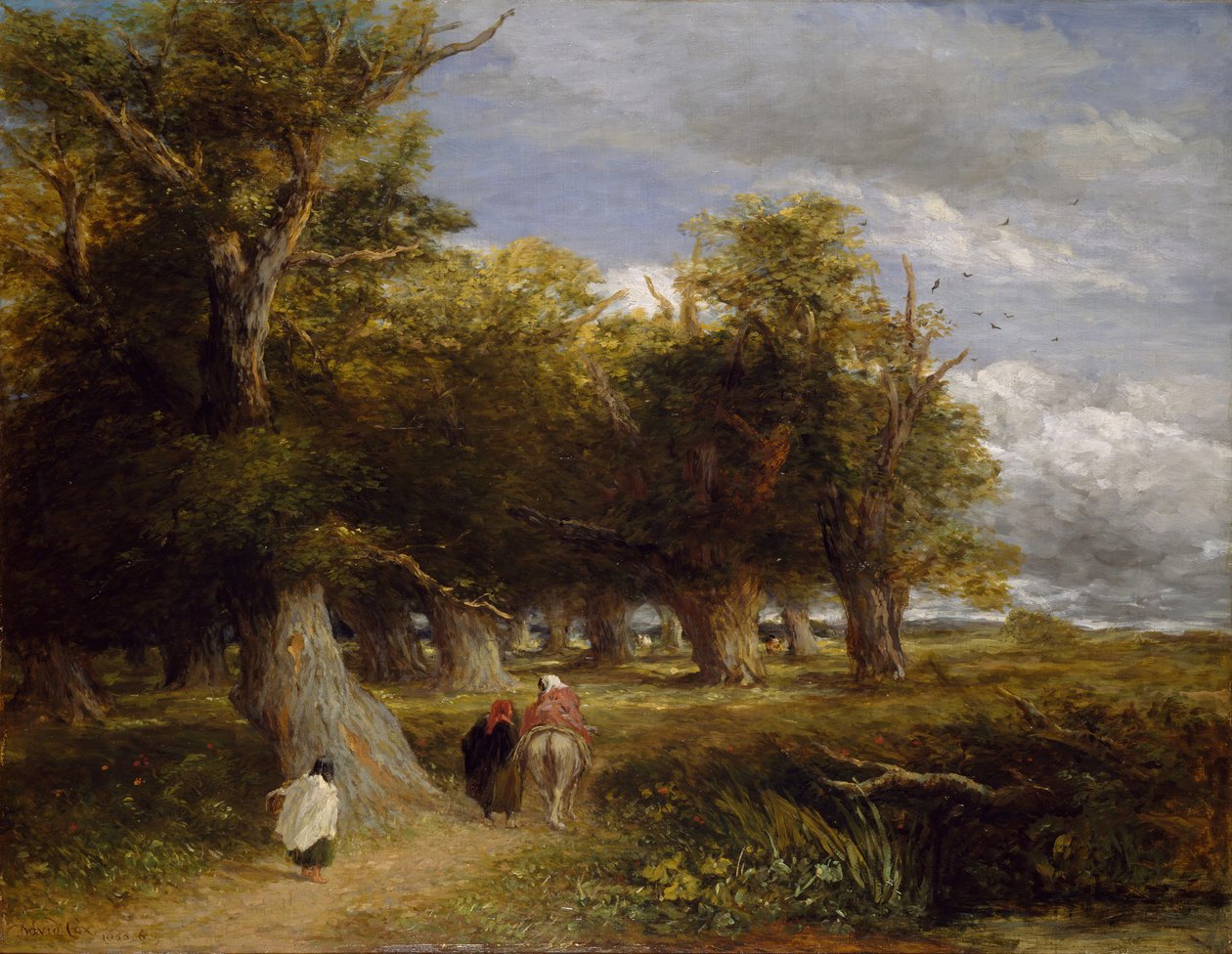 森林的裙边》，1856年。 作者 大卫·考克斯（David Cox）