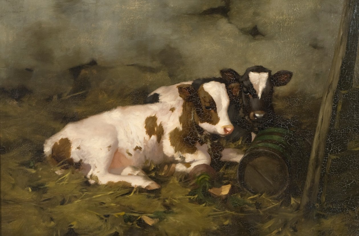 Calves, c.1900 (oil on canvas) 作者 大卫·高尔德