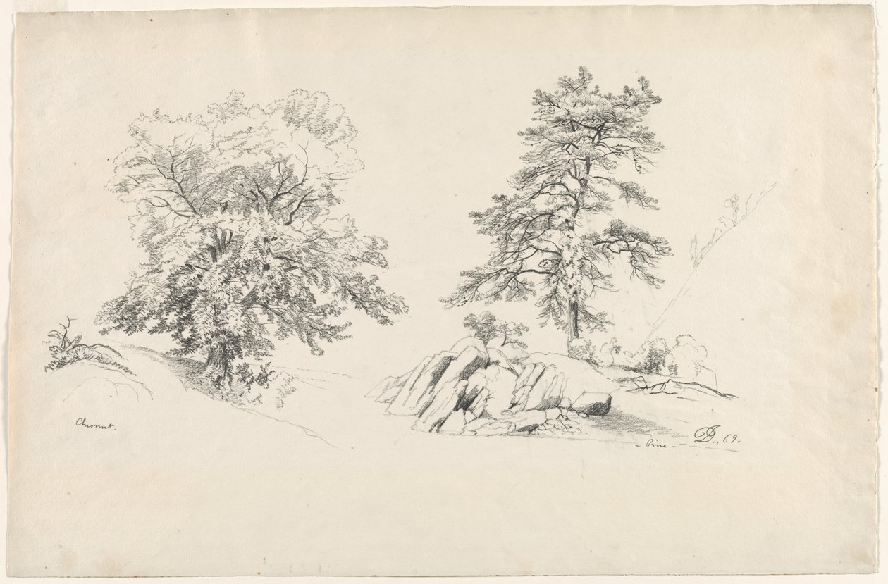 栗子和松树，1869年。 作者 戴维·约翰逊