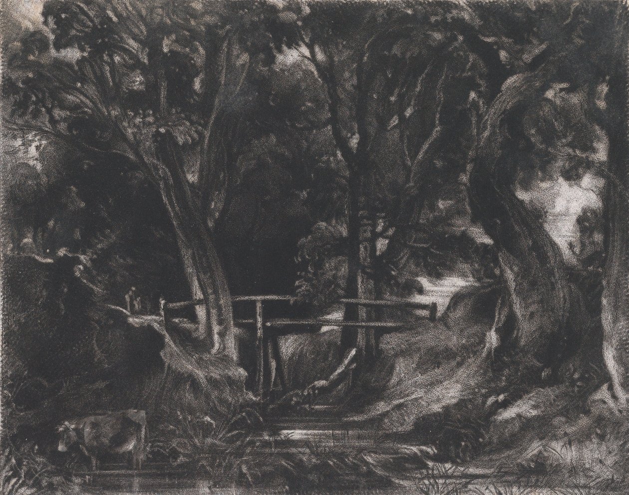 A Dell, Helmingham Park, Suffolk, 1830. 作者 大卫卢卡斯