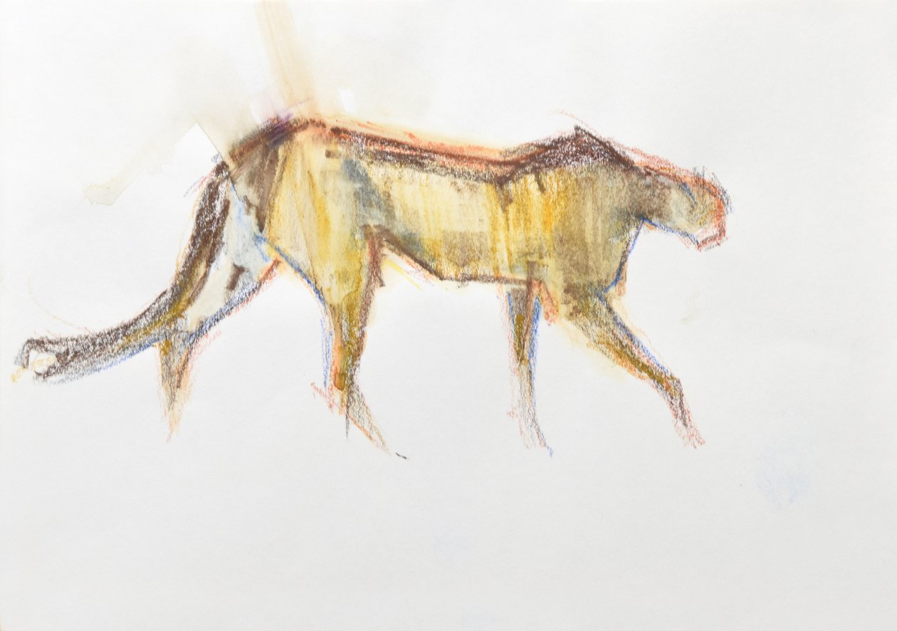 猎豹，2020 年（纸上蜡笔和水彩画） 作者 大卫·迈耶