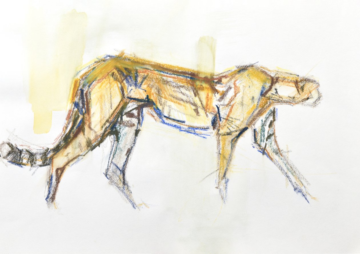 猎豹，2020 年（纸上蜡笔和水彩画） 作者 大卫·迈耶