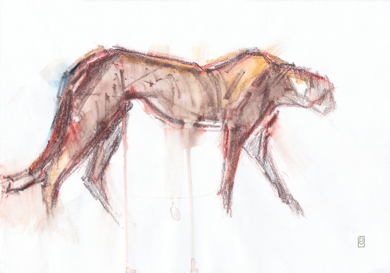猎豹狩猎，2019（纸上蜡笔/水彩画） 作者 大卫·迈耶