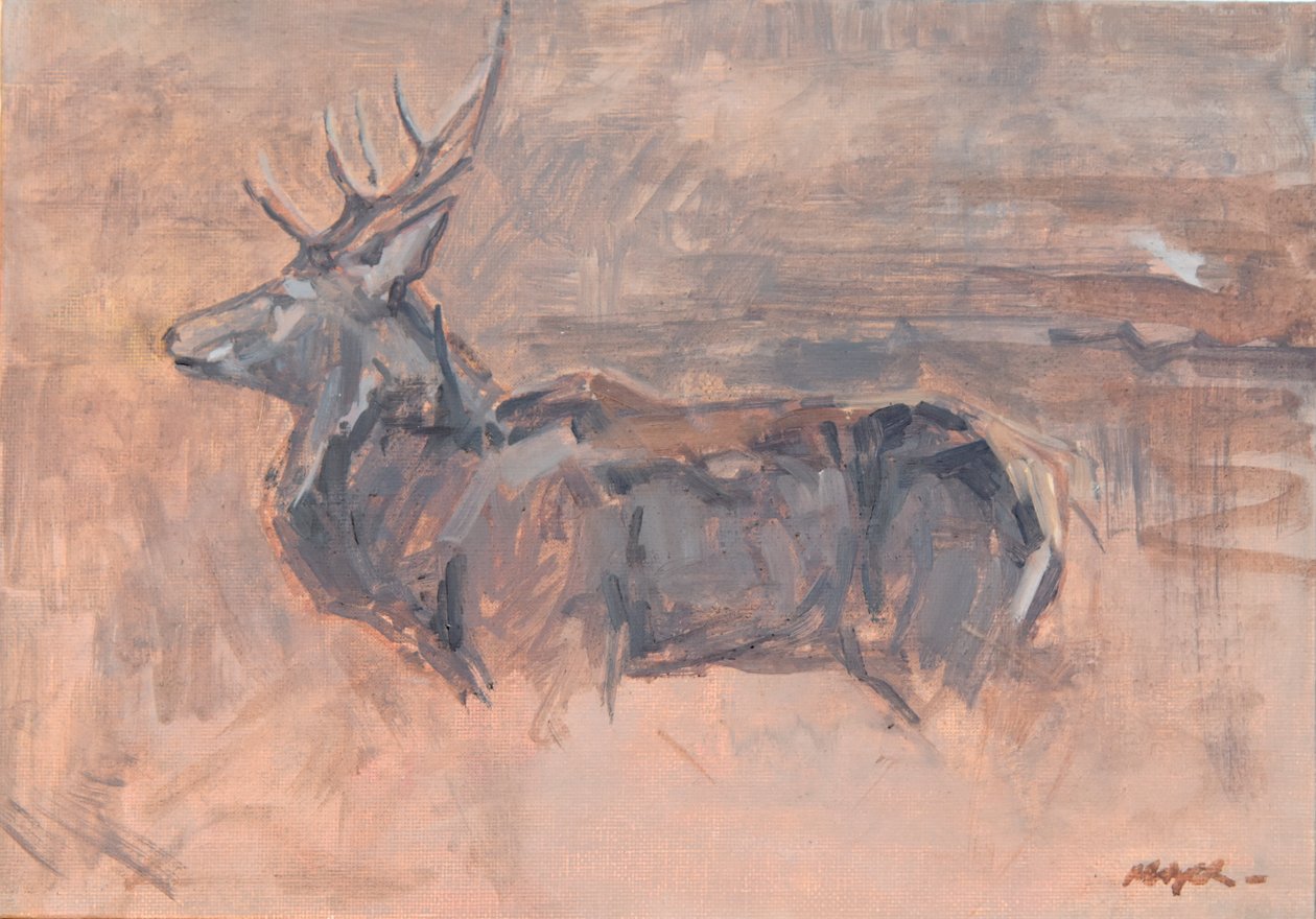 红鹿雄鹿，2023 年（布面油画） 作者 大卫·迈耶