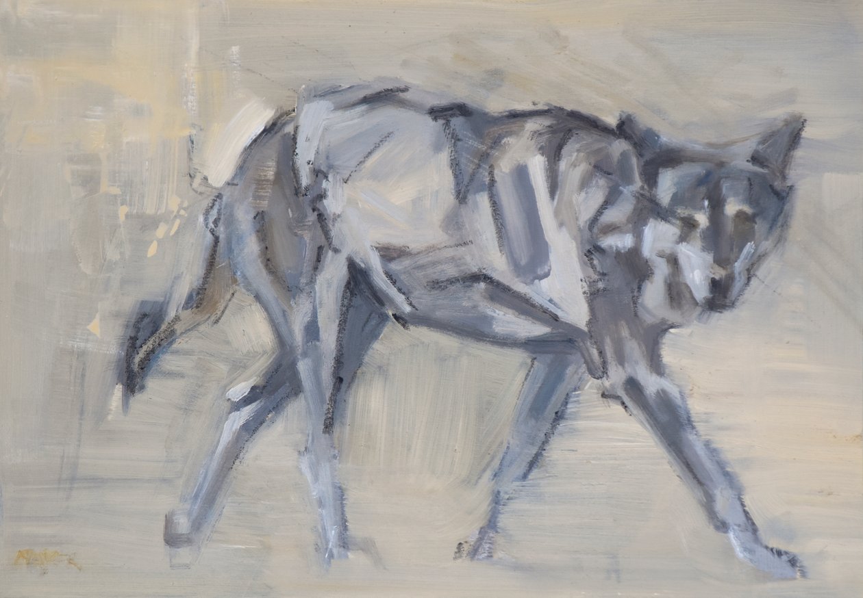 狼 11》，2023 年（画板油画） 作者 大卫·迈耶