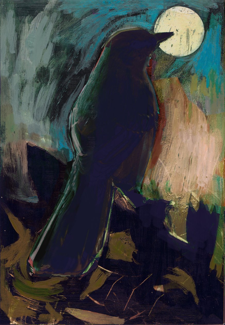 嘲笑鸟, 2016 作者 大卫·麦康诺奇