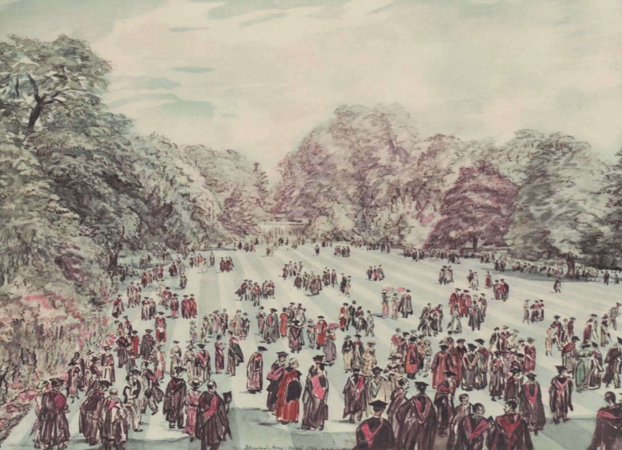  作者 大卫·缪尔海德（后）·博恩