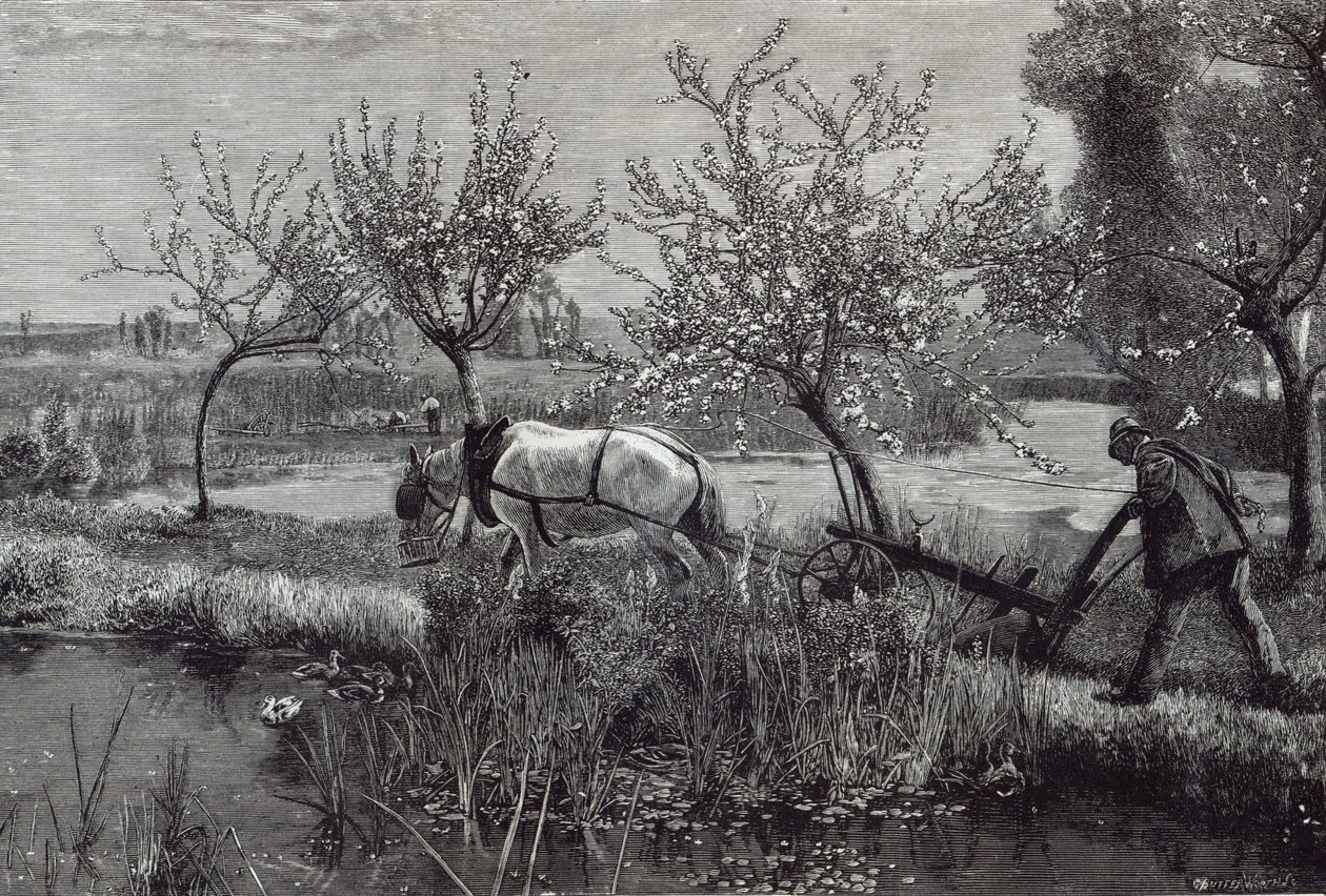 “一个小农场很好”，皮卡第，来自1888年的“休闲时光” 作者 大卫·默里