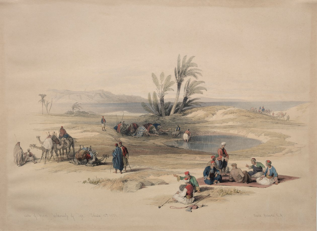 摩西·威尔斯（Wells of Moses），提斯（Tyh）原野，1839年。 作者 大卫·罗伯茨
