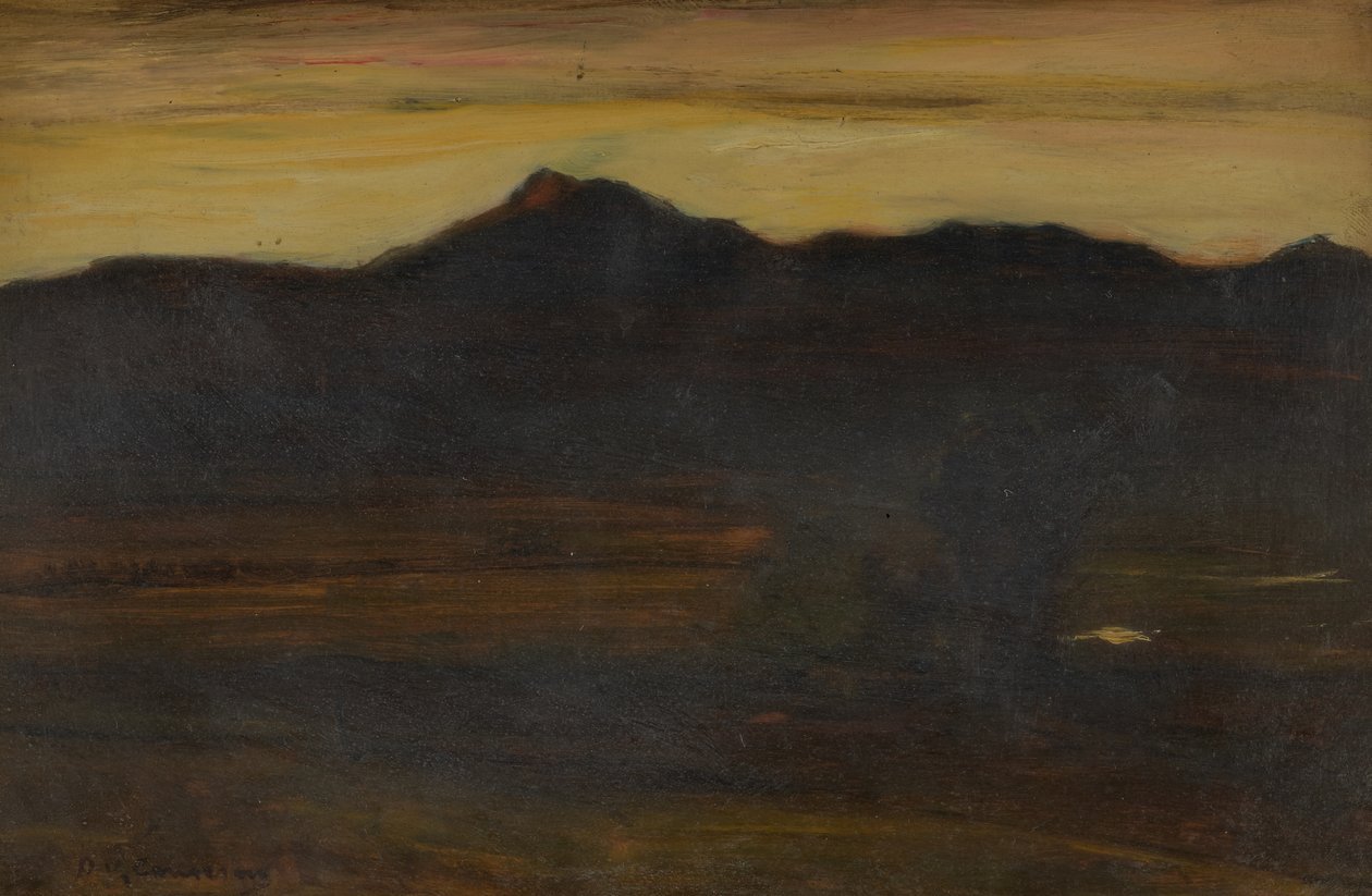  作者 戴维·杨·卡梅伦