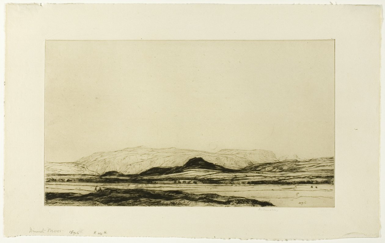 Dinnet Moor 作者 戴维·杨·卡梅伦