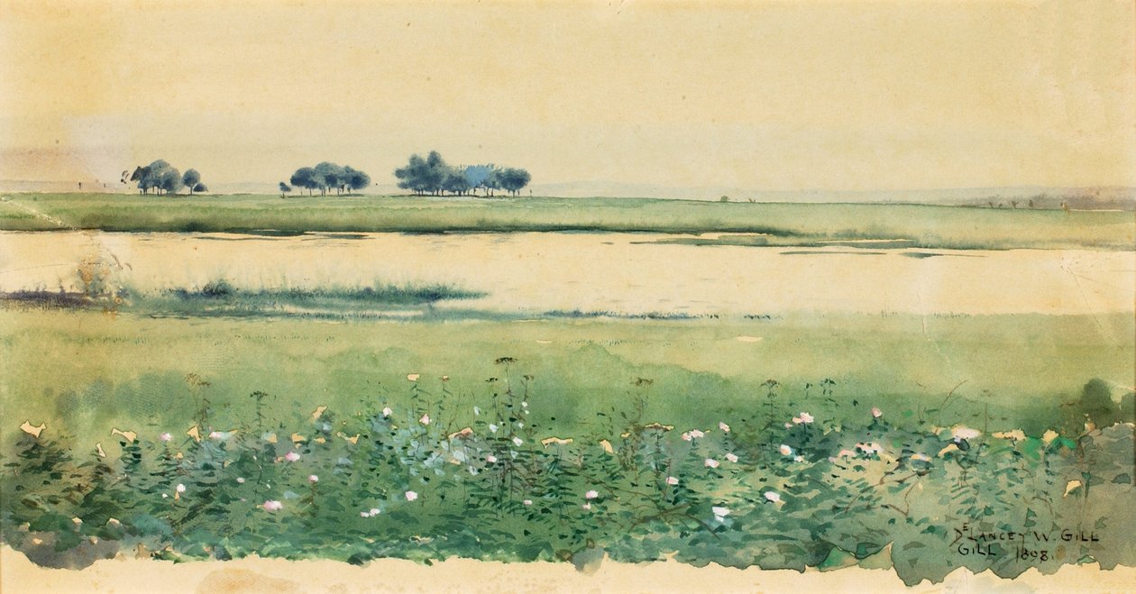 有沼泽的风景，1898年。 作者 德兰西吉尔