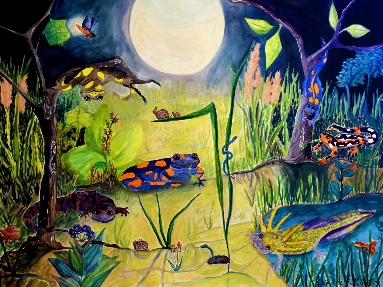 睡梦中醒来》，2015 年（水彩画） 作者 黛博拉·伊芙·阿拉斯特拉