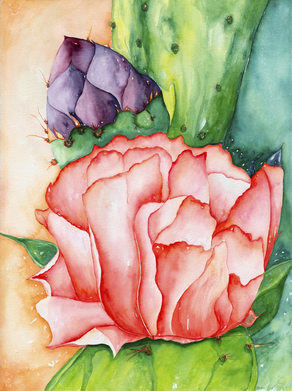 沙漠绽放》，2007 年（水彩画） 作者 黛博拉·伊芙·阿拉斯特拉