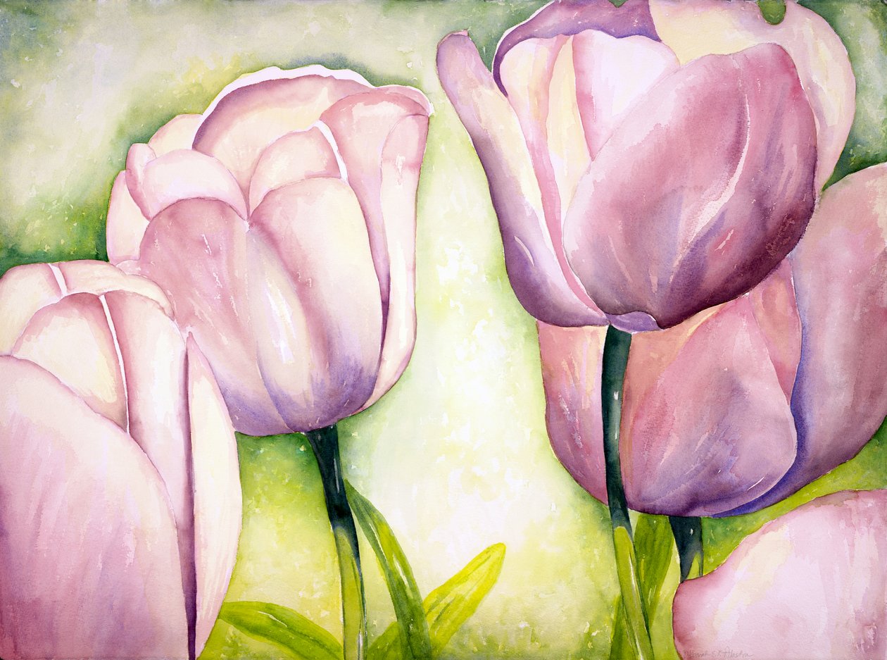 薰衣草郁金香，2006 年（水彩画） 作者 黛博拉·伊芙·阿拉斯特拉